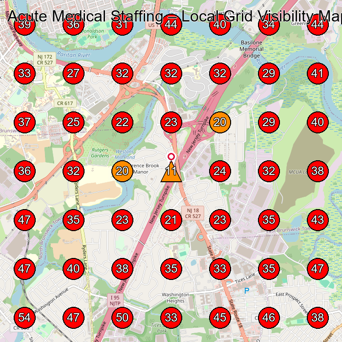 Acute Medical Staffing GeoGrid visibility map for Home Health Care Service in North Brunswick Township